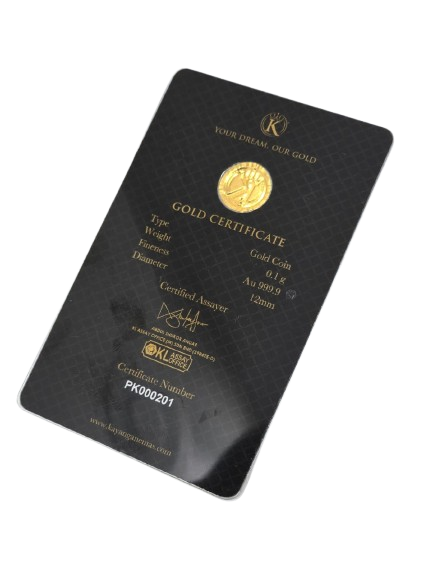 WhatsApp_Image_2025-07-25_at_12.12.00-removebg-preview